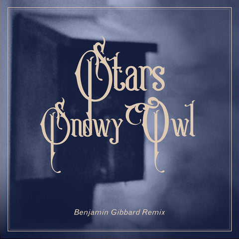 Stars team up with Benjamin Gibbard on "Snowy Owl" remix