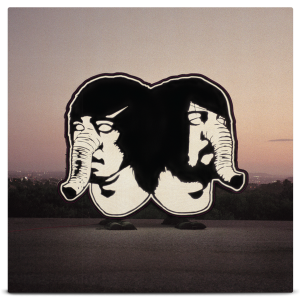 DFA_TPW_MockUp_COVER_grande.